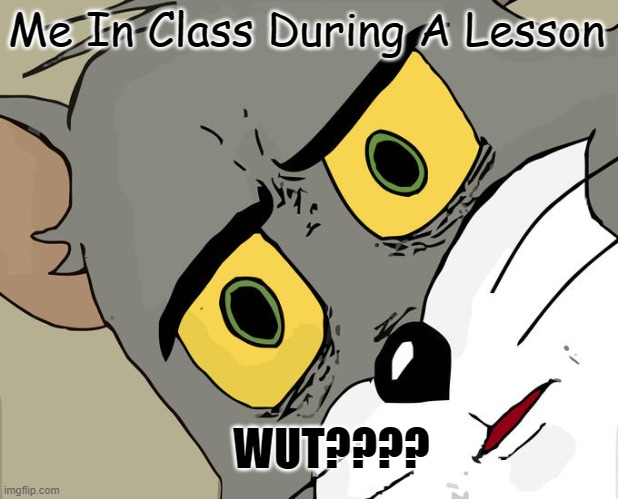 When Listening To Your Teacher.... | Me In Class During A Lesson; WUT???? | image tagged in memes,unsettled tom | made w/ Imgflip meme maker
