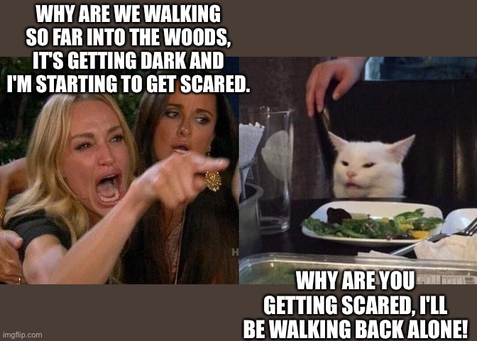 Woman yelling at cat | WHY ARE WE WALKING SO FAR INTO THE WOODS, IT'S GETTING DARK AND I'M STARTING TO GET SCARED. WHY ARE YOU GETTING SCARED, I'LL BE WALKING BACK ALONE! | image tagged in woman yelling at smudge the cat | made w/ Imgflip meme maker