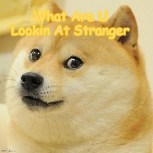 Doge Meme | What Are U Lookin At Stranger | image tagged in memes,doge | made w/ Imgflip meme maker
