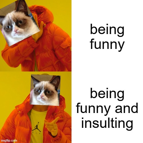 this is true | being funny; being funny and insulting | image tagged in memes,drake hotline bling,funny,true,grumpy cat,insults | made w/ Imgflip meme maker