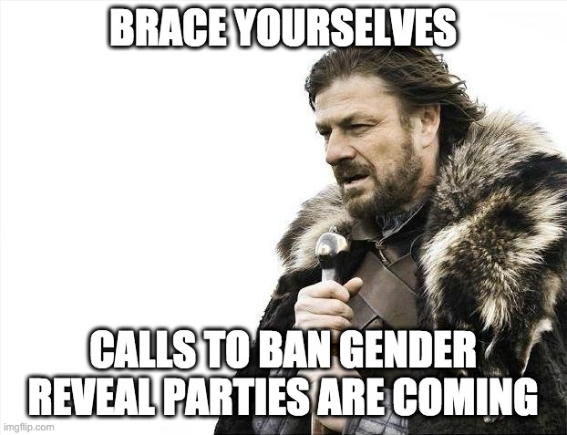 Brace Yourselves X is Coming Meme | BRACE YOURSELVES; CALLS TO BAN GENDER REVEAL PARTIES ARE COMING | image tagged in memes,brace yourselves x is coming | made w/ Imgflip meme maker