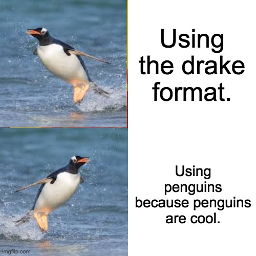 penguins | Using the drake format. Using penguins because penguins are cool. | image tagged in memes,drake hotline bling,penguin,drake format | made w/ Imgflip meme maker