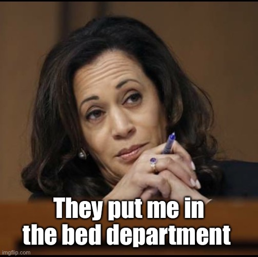 Kamala Harris  | They put me in the bed department | image tagged in kamala harris | made w/ Imgflip meme maker