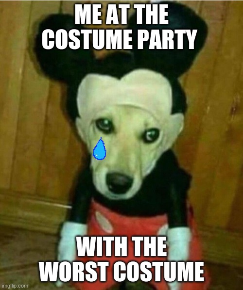 mouse dog | ME AT THE COSTUME PARTY; WITH THE WORST COSTUME | image tagged in mouse dog | made w/ Imgflip meme maker