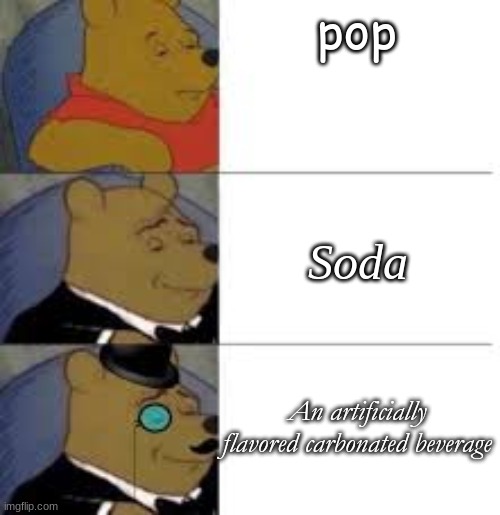 pop; Soda; An artificially flavored carbonated beverage | image tagged in tuxedo winnie the pooh | made w/ Imgflip meme maker