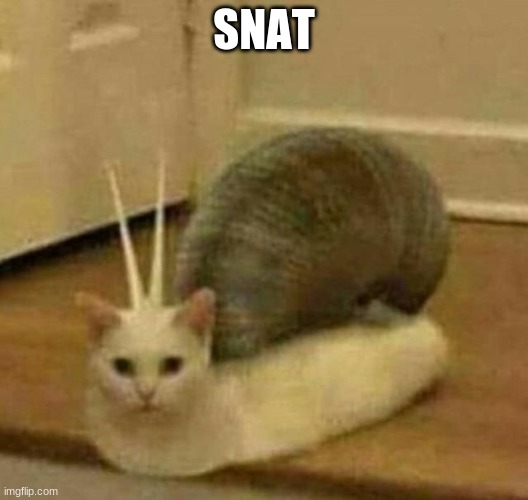 snat | SNAT | image tagged in snat | made w/ Imgflip meme maker