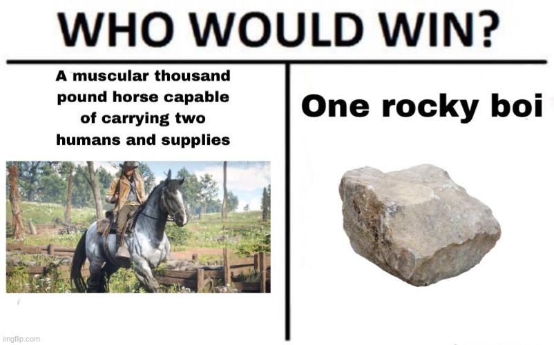 ONe rocky Boi | image tagged in who would win | made w/ Imgflip meme maker