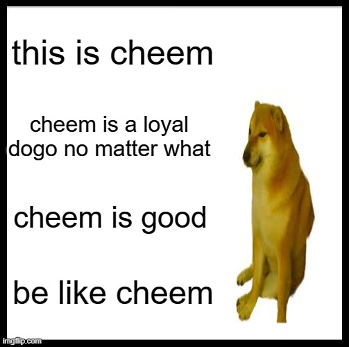 this is cheem | this is cheem; cheem is a loyal dogo no matter what; cheem is good; be like cheem | image tagged in memes,be like bill | made w/ Imgflip meme maker