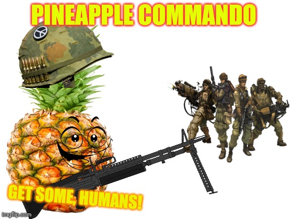 Pineapple's revenge | PINEAPPLE COMMANDO; GET SOME, HUMANS! | image tagged in blank white template,pineapple,revenge | made w/ Imgflip meme maker