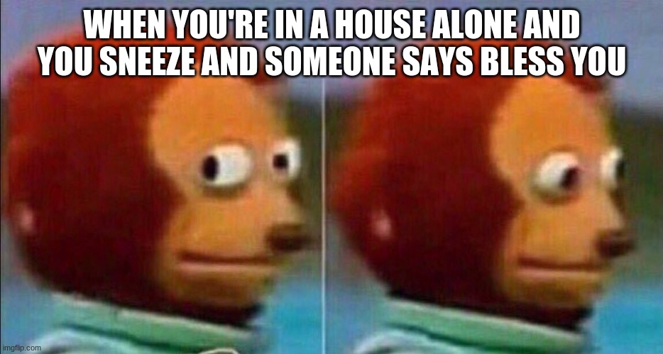 Monkey looking away | WHEN YOU'RE IN A HOUSE ALONE AND YOU SNEEZE AND SOMEONE SAYS BLESS YOU | image tagged in monkey looking away | made w/ Imgflip meme maker