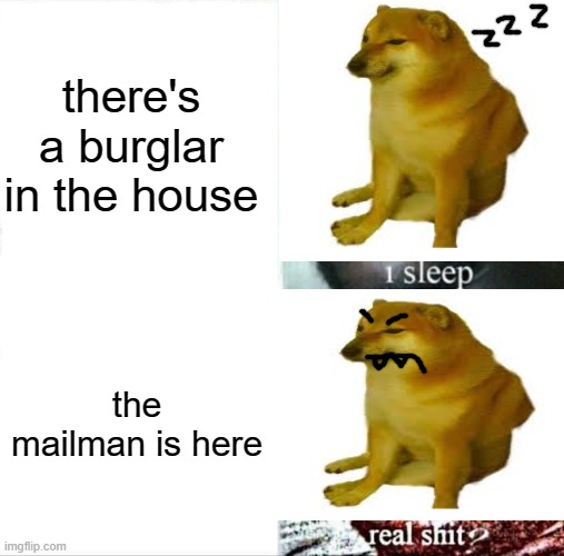 Sleeping Shaq | there's a burglar in the house; the mailman is here | image tagged in memes,sleeping shaq | made w/ Imgflip meme maker