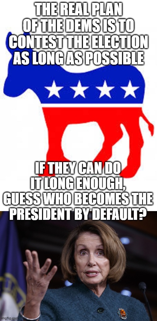 Guess who becomes president if the election is contested long enough? | THE REAL PLAN OF THE DEMS IS TO CONTEST THE ELECTION AS LONG AS POSSIBLE; IF THEY CAN DO IT LONG ENOUGH, GUESS WHO BECOMES THE PRESIDENT BY DEFAULT? | image tagged in democrat donkey,good old nancy pelosi,election 2020,trump | made w/ Imgflip meme maker