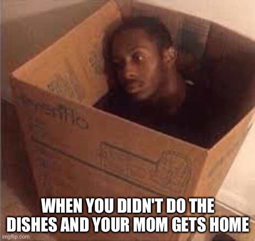 black dude in the box | WHEN YOU DIDN'T DO THE DISHES AND YOUR MOM GETS HOME | image tagged in black dude in the box | made w/ Imgflip meme maker
