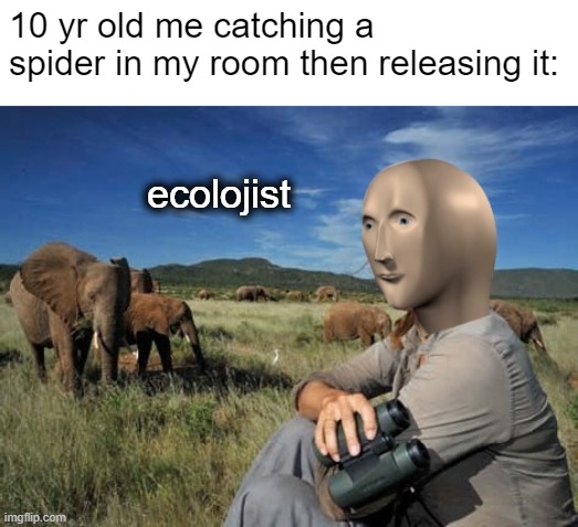 10 yr old me catching a spider in my room then releasing it:; ecolojist | image tagged in meme man,stonks,10 year old me | made w/ Imgflip meme maker