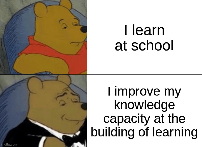 Tuxedo Winnie The Pooh Meme | I learn at school; I improve my knowledge capacity at the building of learning | image tagged in memes,tuxedo winnie the pooh | made w/ Imgflip meme maker