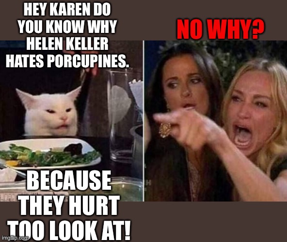 Smudge | NO WHY? HEY KAREN DO YOU KNOW WHY HELEN KELLER HATES PORCUPINES. BECAUSE THEY HURT TOO LOOK AT! | image tagged in reverse smudge and karen | made w/ Imgflip meme maker