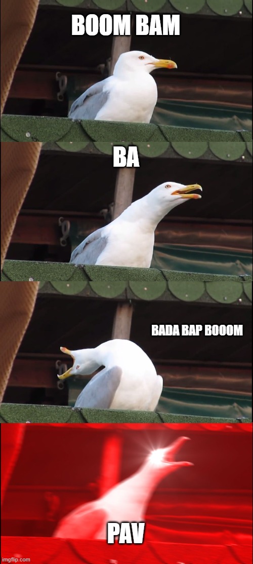 Inhaling Seagull | BOOM BAM; BA; BADA BAP BOOOM; PAV | image tagged in memes,inhaling seagull | made w/ Imgflip meme maker