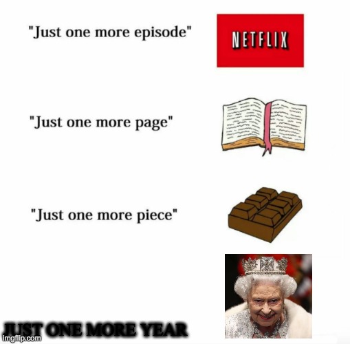 Just one more | JUST ONE MORE YEAR | image tagged in just one more | made w/ Imgflip meme maker