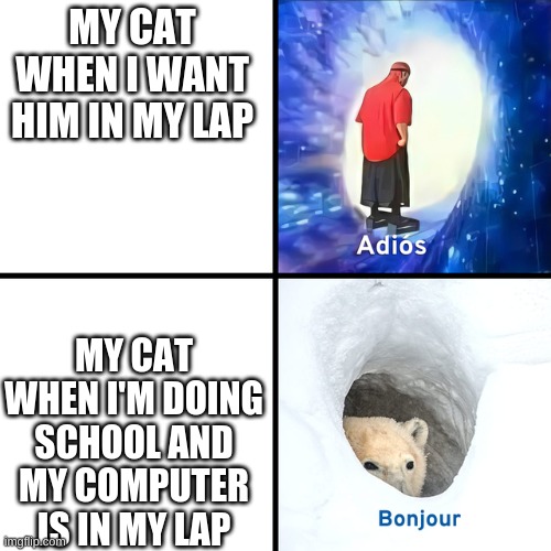 Relatable | MY CAT WHEN I WANT HIM IN MY LAP; MY CAT WHEN I'M DOING SCHOOL AND MY COMPUTER IS IN MY LAP | image tagged in adios bonjour | made w/ Imgflip meme maker