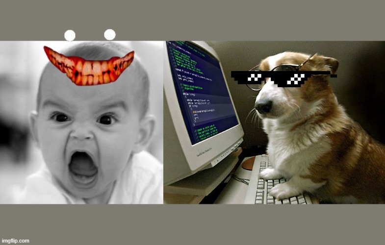image tagged in memes,angry baby,corgi hacker | made w/ Imgflip meme maker