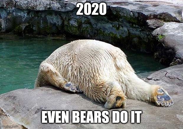 What , the 2020 , is happening here | 2020; EVEN BEARS DO IT | image tagged in what year is it,2020 sucks,happy dance,it's almost over | made w/ Imgflip meme maker