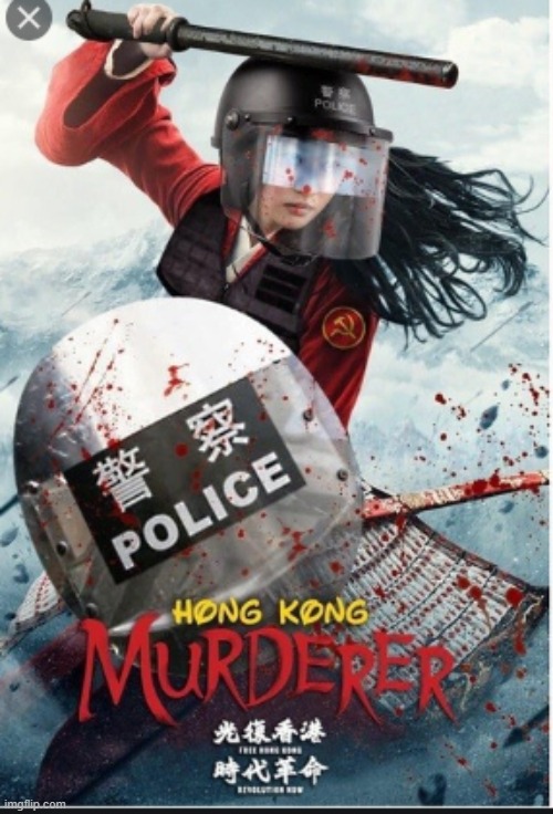 boycott mulan! | image tagged in mulan,hong kong,police | made w/ Imgflip meme maker