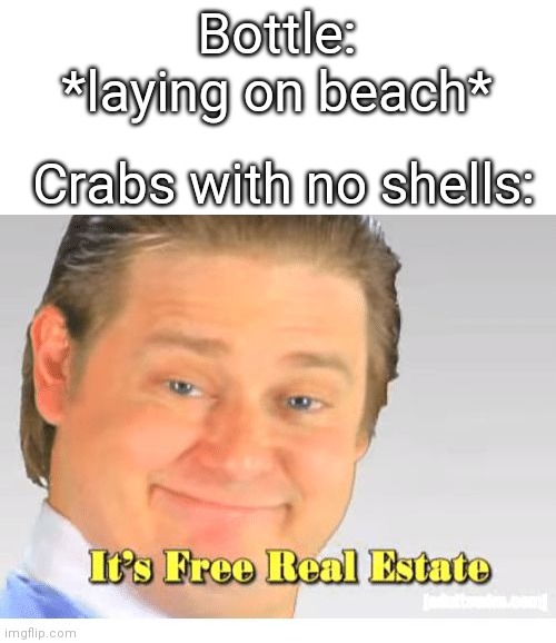 It's free real estate! |  Bottle: *laying on beach*; Crabs with no shells: | image tagged in it's free real estate,crabs | made w/ Imgflip meme maker
