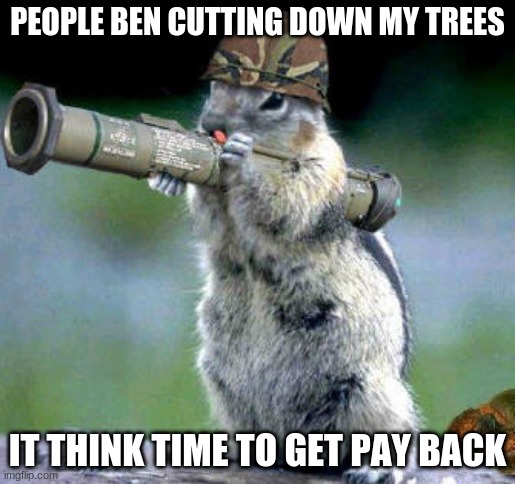 Bazooka Squirrel | PEOPLE BEN CUTTING DOWN MY TREES; IT THINK TIME TO GET PAY BACK | image tagged in memes,bazooka squirrel | made w/ Imgflip meme maker