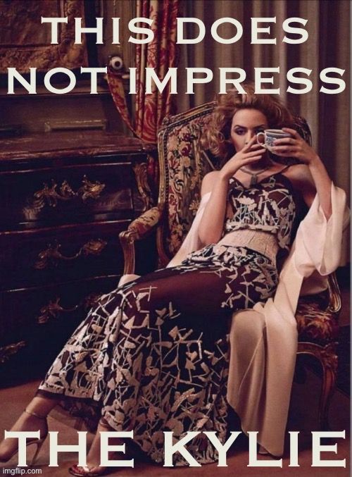 Kylie this does not impress the Kylie | image tagged in kylie this does not impress the kylie | made w/ Imgflip meme maker