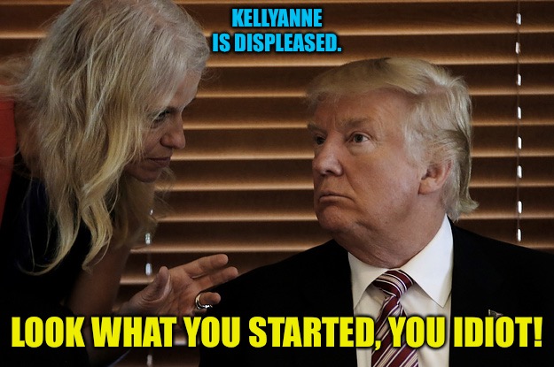 KELLYANNE
IS DISPLEASED. LOOK WHAT YOU STARTED, YOU IDIOT! | made w/ Imgflip meme maker