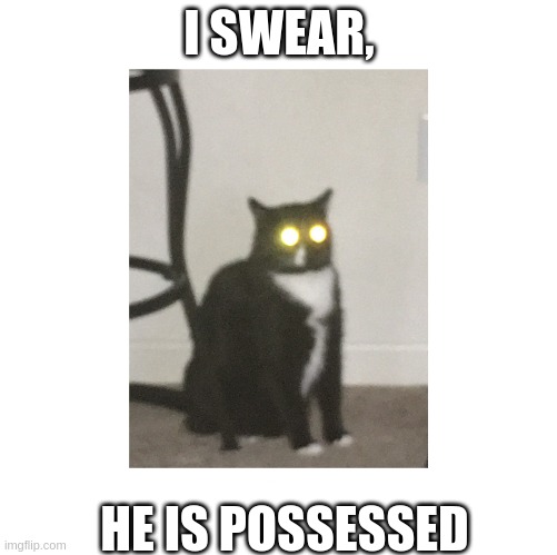 ... | I SWEAR, HE IS POSSESSED | image tagged in whisk | made w/ Imgflip meme maker