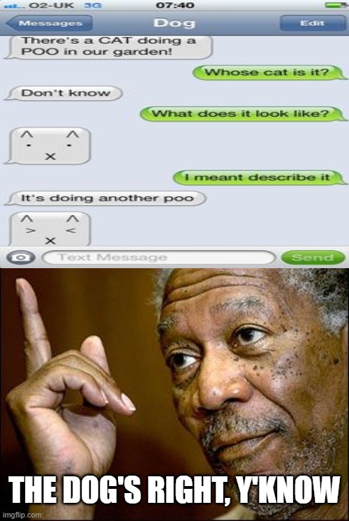 I am stumped | THE DOG'S RIGHT, Y'KNOW | image tagged in this morgan freeman,funny,dog,cat,texts | made w/ Imgflip meme maker