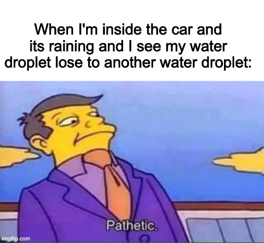 Pathetic little water droplet | When I'm inside the car and its raining and I see my water droplet lose to another water droplet: | image tagged in skinner pathetic | made w/ Imgflip meme maker