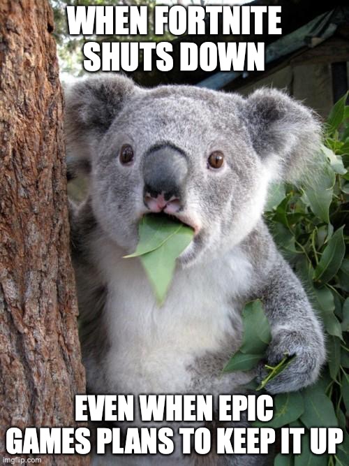 Surprising Fortnite Shut Down | WHEN FORTNITE SHUTS DOWN; EVEN WHEN EPIC GAMES PLANS TO KEEP IT UP | image tagged in memes,surprised koala | made w/ Imgflip meme maker