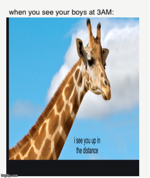 i see you up in the distance | image tagged in i see you up in the distance,animal | made w/ Imgflip meme maker
