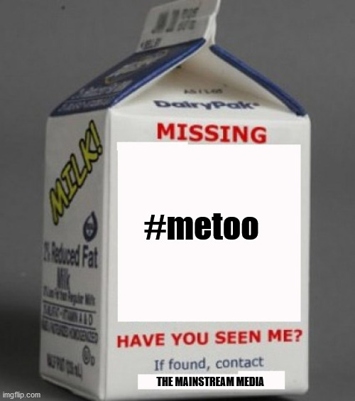 Paging the hypocrite democrats | #metoo; THE MAINSTREAM MEDIA | image tagged in metoo | made w/ Imgflip meme maker