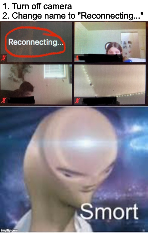 smort zoom meeting | 1. Turn off camera
2. Change name to "Reconnecting..." | image tagged in smort,zoom,prankd | made w/ Imgflip meme maker