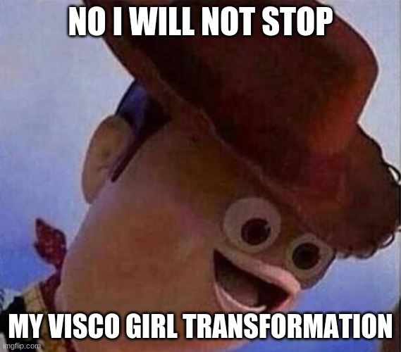 Woody No Nose | NO I WILL NOT STOP; MY VISCO GIRL TRANSFORMATION | image tagged in woody no nose | made w/ Imgflip meme maker