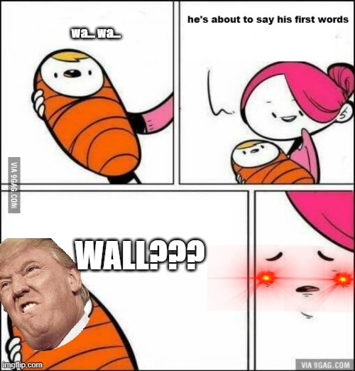 He is About to Say His First Words | wa... wa... WALL??? | image tagged in he is about to say his first words | made w/ Imgflip meme maker