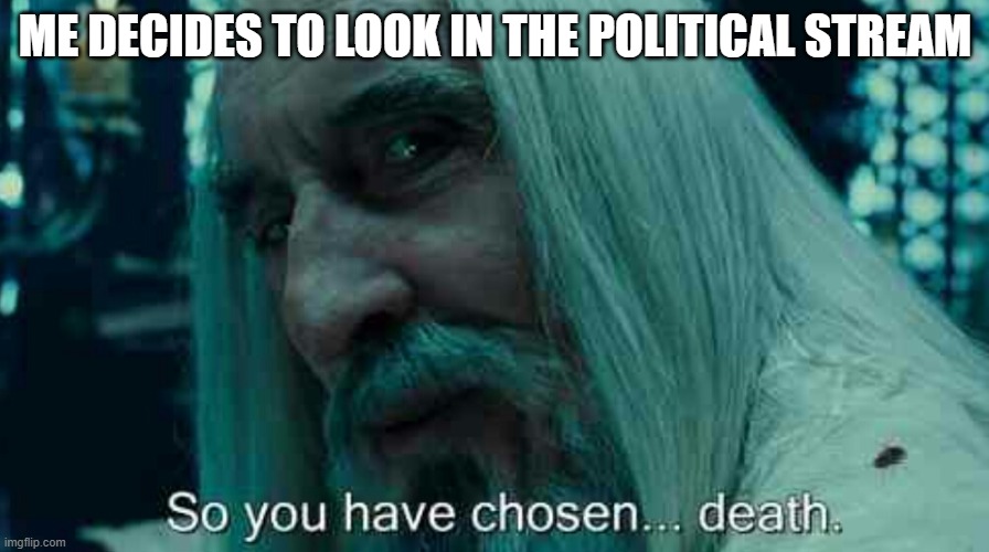 So you have chosen death | ME DECIDES TO LOOK IN THE POLITICAL STREAM | image tagged in so you have chosen death | made w/ Imgflip meme maker