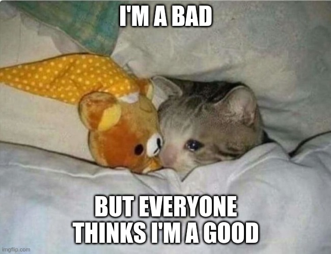 I'M A BAD; BUT EVERYONE THINKS I'M A GOOD | image tagged in sad cat | made w/ Imgflip meme maker