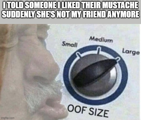 Mustache joke | I TOLD SOMEONE I LIKED THEIR MUSTACHE SUDDENLY SHE'S NOT MY FRIEND ANYMORE | image tagged in oof size large | made w/ Imgflip meme maker
