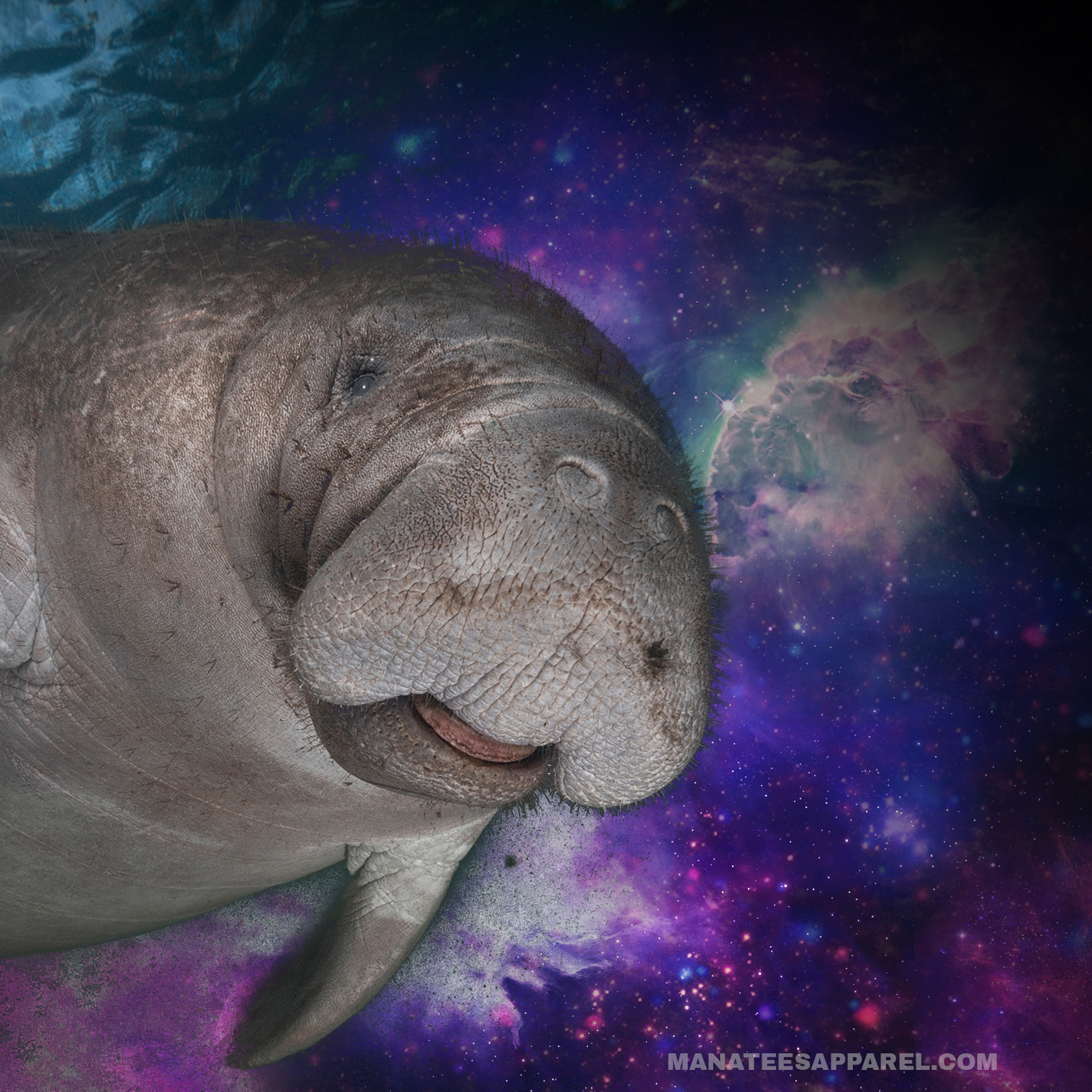 Cosmic Manatee Blank Meme Template