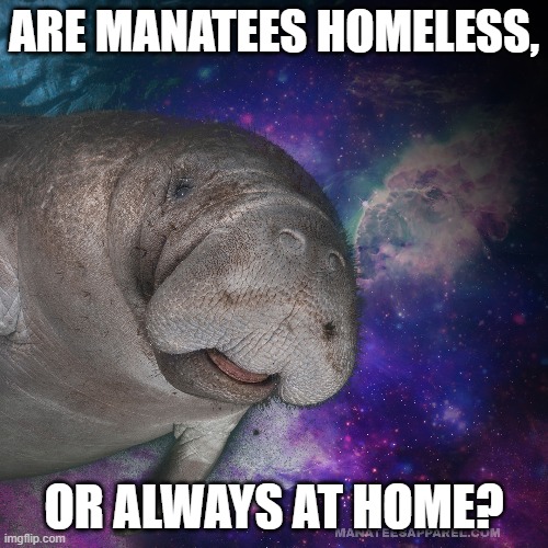 Are manatees homeless | ARE MANATEES HOMELESS, OR ALWAYS AT HOME? | image tagged in cosmic manatee,manatee,space,existential,questions,wise | made w/ Imgflip meme maker