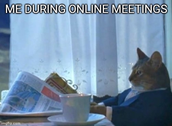 I don't have pants on | ME DURING ONLINE MEETINGS | image tagged in memes,i should buy a boat cat | made w/ Imgflip meme maker