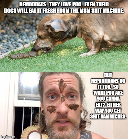 Poo for you too! | DEMOCRATS.  THEY LOVE POO.  EVEN THEIR DOGS WILL EAT IT FRESH FROM THE MSM SHIT MACHINE. BUT REPUBLICANS DO IT TOO.  SO WHAT POO ARE YOU GONNA EAT?  EITHER WAY YOU GET SHIT SAMMICHES. | image tagged in poop,party of haters,american politics | made w/ Imgflip meme maker