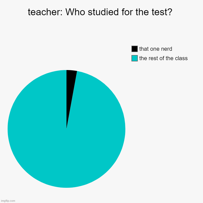 teacher: Who studied for the test? | the rest of the class, that one nerd | image tagged in charts,pie charts | made w/ Imgflip chart maker