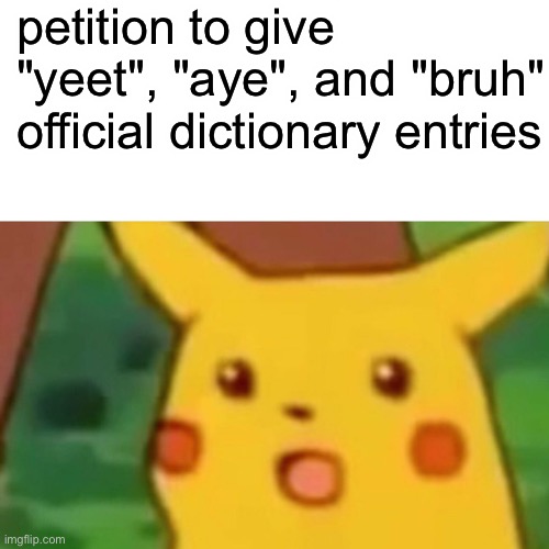Surprised Pikachu | petition to give  "yeet", "aye", and "bruh" official dictionary entries | image tagged in memes,surprised pikachu,bruh,yeet,pikachu | made w/ Imgflip meme maker