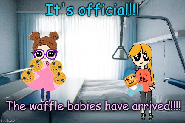 SPECIAL THANKS TO HALFWHITMEMES!! :D | It's official!!! The waffle babies have arrived!!!! | image tagged in hospital bed | made w/ Imgflip meme maker