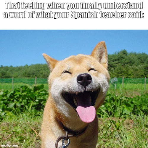 Me in Spanish | That feeling when you finally understand a word of what your Spanish teacher said: | image tagged in dog,happy,spanish | made w/ Imgflip meme maker